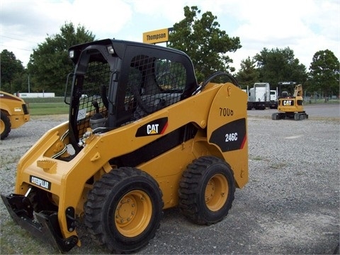  Caterpillar 246 C de bajo costo Ref.: 1393372640823809 No. 2