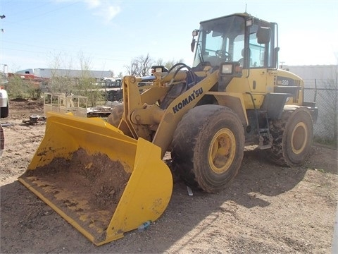 Wheel Loaders Komatsu WA250