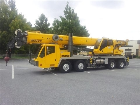 Cranes Grove TMS9000E