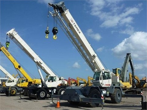 Gruas Terex RT335