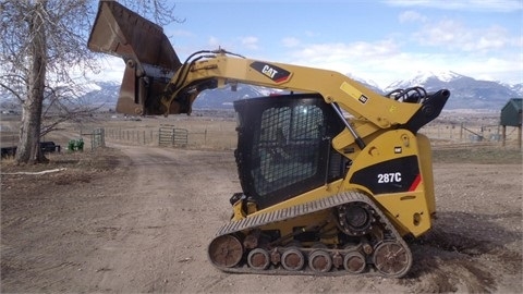 CATERPILLAR 287C importada a bajo costo Ref.: 1403721406431178 No. 2