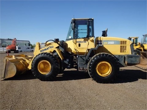 Cargadoras Sobre Ruedas Komatsu WA250