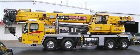 Cranes Grove TMS900E