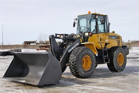 Cargadoras Sobre Ruedas Komatsu WA250