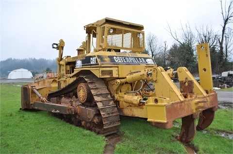 Tractores Sobre Orugas Caterpillar D8N