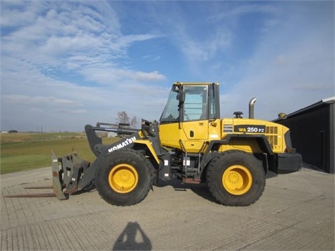 Cargadoras Sobre Ruedas Komatsu WA250