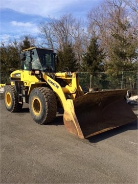 Wheel Loaders Komatsu WA250