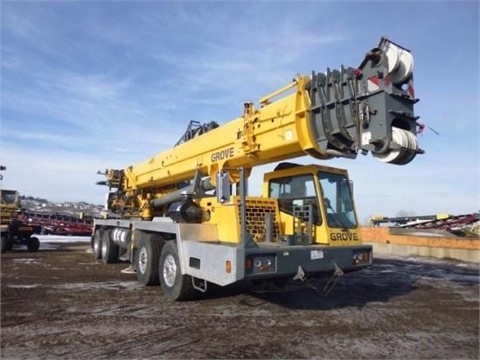 Cranes Grove TMS900E