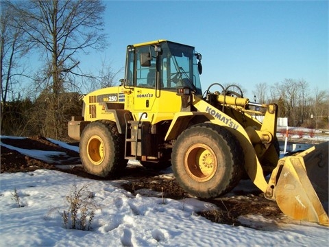 Cargadoras Sobre Ruedas Komatsu WA250