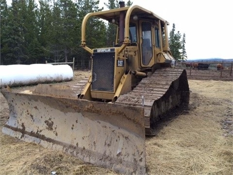 Dozers/tracks Caterpillar D5H