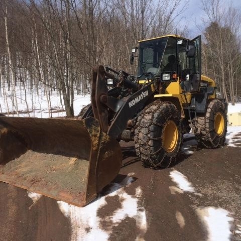 Wheel Loaders Komatsu WA250