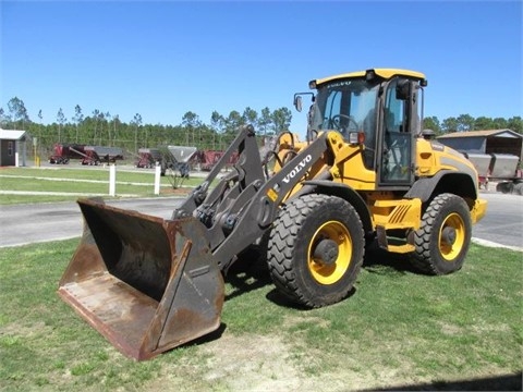 Wheel Loaders Volvo L45