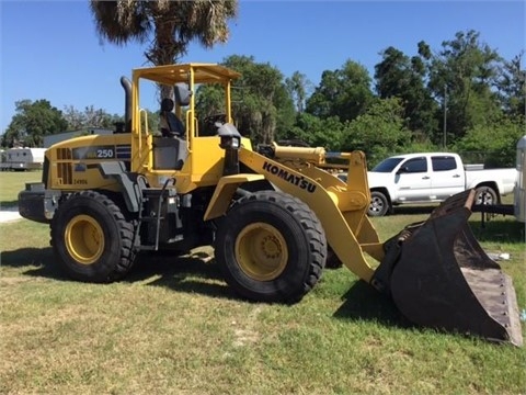 Wheel Loaders Komatsu WA250