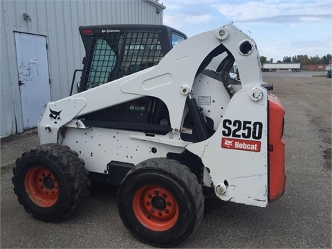 Minicargadores Bobcat S250