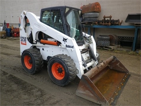 Miniloaders Bobcat S250