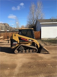 Miniloaders Caterpillar 247B