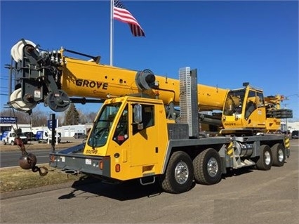 Cranes Grove TMS9000E