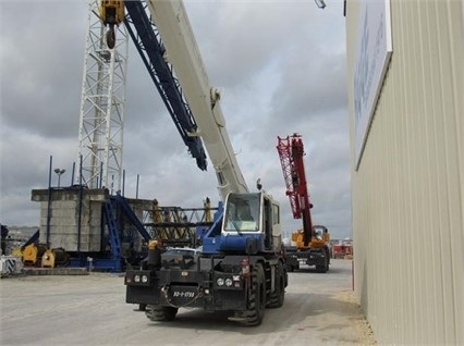 Gruas Tadano TR300 en venta, usada Ref.: 1462980854754677 No. 2