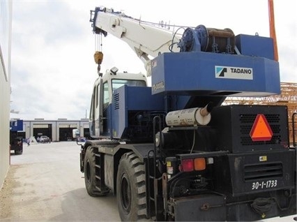 Gruas Tadano TR300 en venta, usada Ref.: 1462980854754677 No. 3