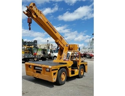 Cranes Broderson IC80