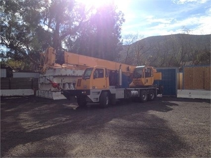 Cranes Terex T340XL