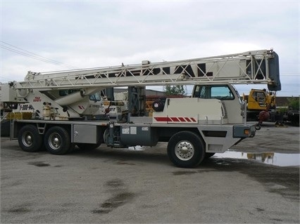 Cranes Terex T335