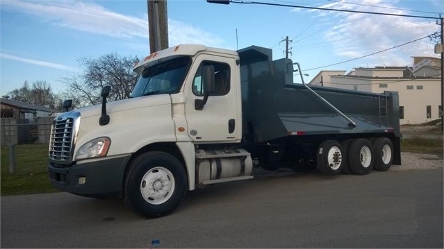 Camiones De Carga Freightliner CASCADIA 113 seminueva en venta Ref.: 1495898355194885 No. 2