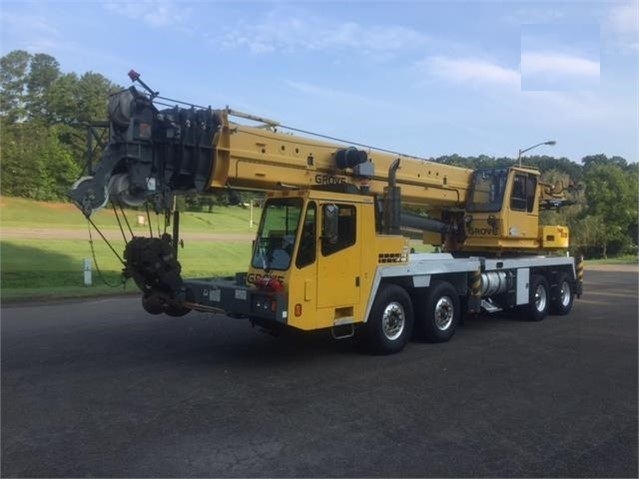 Cranes Grove TMS900E