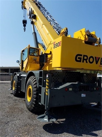 Cranes Grove RT890E