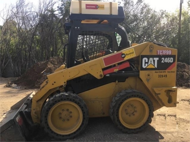 Minicargadores Caterpillar 246D