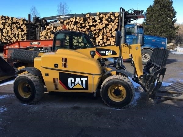 Telehandler Caterpillar TH255C