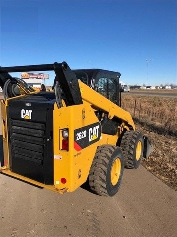 Miniloaders Caterpillar 262D