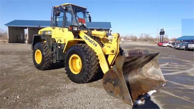 Wheel Loaders Komatsu WA250