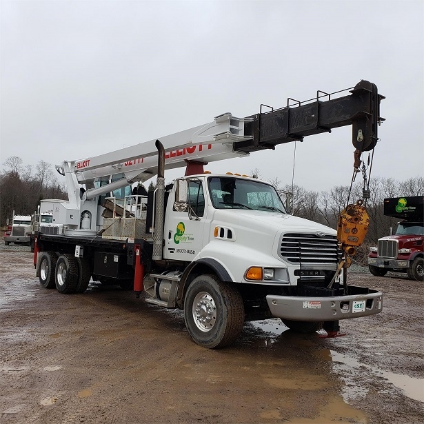 Gruas Elliott 32117 de segunda mano a la venta Ref.: 1561754262900357 No. 2