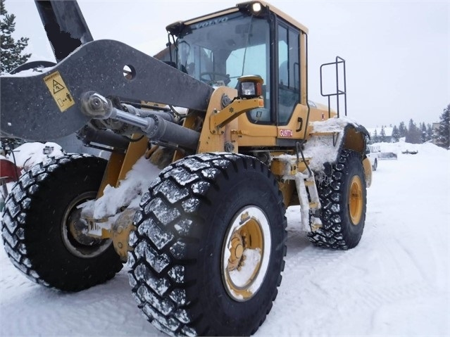 Wheel Loaders Volvo L110G