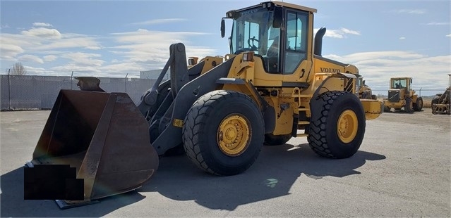 Wheel Loaders Volvo L110F